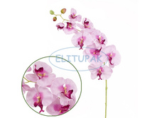 ��000503 ������� ���������� ������� ������� 95 �� (12 �� � ���.)(Mbox 72 ��.) 216�.jpeg