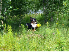 ��������!!!