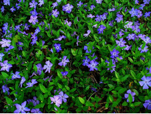 �������� �����.70