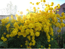 �������� ����������� ������� ��� 90