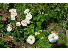 �������� � ����� �����