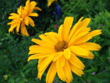 IMG 1400.JPG