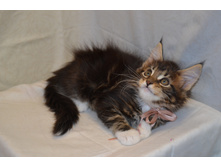 2 ������