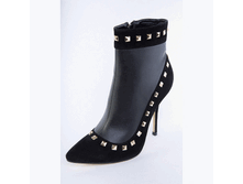 JESTER-FW13S ������ �����������.GIF
