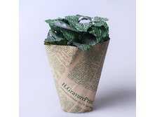 ���������� ������ ������ 22 �� 620253 200�.jpg