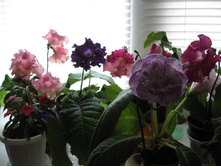 �������������