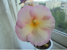 DSC01355.JPG