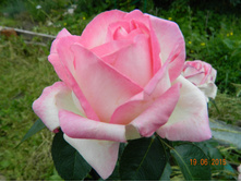 Princesse de Monaco