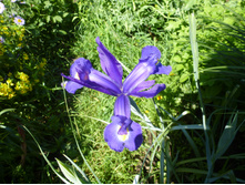 P1040037.JPG ���� ����������