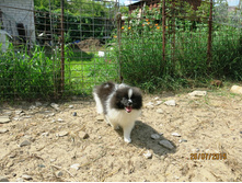 ������� ������ 003.JPG