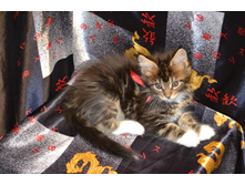 2 ������