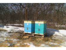 �����,���� 2015