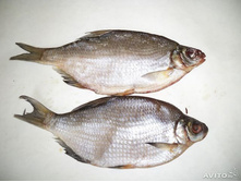 ������� �������.jpg