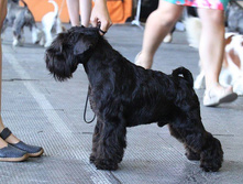 11760070 862279760530799 6752573404624525998 n.jpg