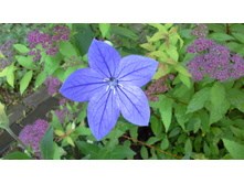 20150627 190432.jpg