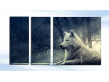 139583866 w640 h640 cid2406080 pid82438450-f9075068.jpg