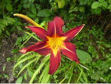 P1040149.JPG �������� ���� ���