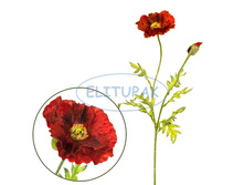 ��002209 ��� ������������ ������� ������� 74�� (24 ��.� ���.)(Mbox 288 ��.) 179.20�.jpeg