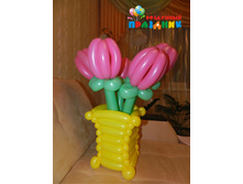 �32 550 ������.jpg