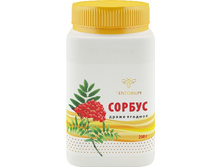 ������� ����� ������