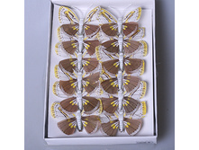 ����� ������� 12 �� 287334 180�.jpg