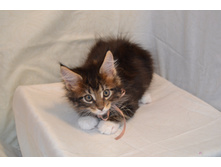 2 ������