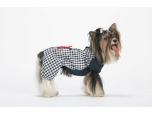 ���������� ������� ����	650	���.