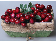 ����� �� ��������� ������� BH13A 365B 325� ����� ���� 190�