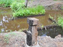 DSCN1316.JPG