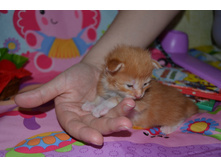 2 ������