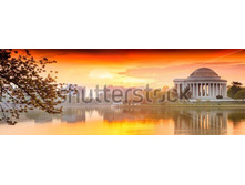 Stock-photo-the-jefferson-memorial-during-the-cherry-blossom-festival-washington-dc-174208979.jpg