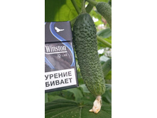 DSC 0066 20150720124052160.jpg