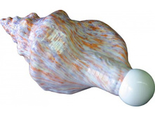 L'amour ������� ���� ��� ���� ����-������� 240�.jpg