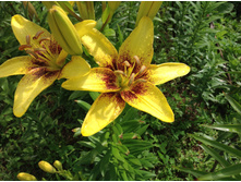 ����� ����� �������- 80- 100 ���. ���� 3 �����!!!!