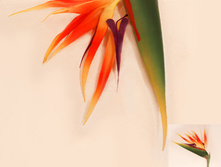 401/0662� - 126.00