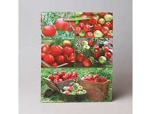 ����� ������� 109508 20�.jpg