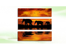 069003� 126003�.jpg