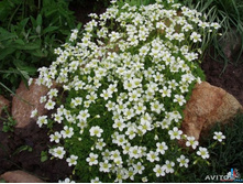 ���������� �������70