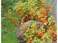 �������.80