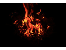 DSC 0477� (05).JPG