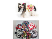 ������ ����������� ������,.����	650	���.