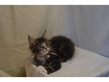 2 ������