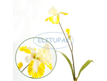 ��002102 ���� ������ 93 �� (24 ��.� ���.)(Mbox 144 ��.) 148�.jpeg