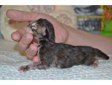 1 ������