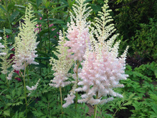 IMG 1722.JPG