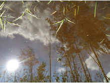 ���������, �� �����! :)