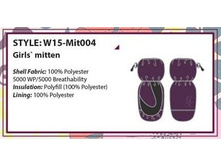 W15 MIT 004 ������� � ���������� �� ������������� ����.jpeg