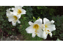 20150614 103348.jpg