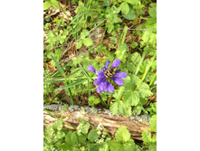 ���-����� :)