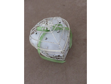 IMG 1574 ����� ������.JPG